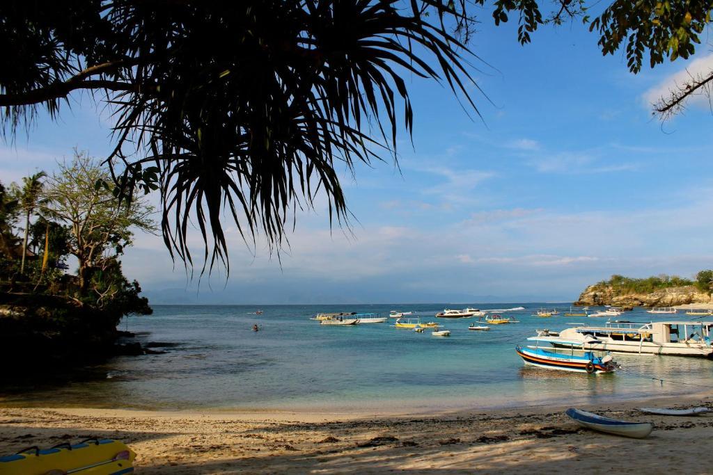 Hotel Molamola House Lembongan Zimmer foto